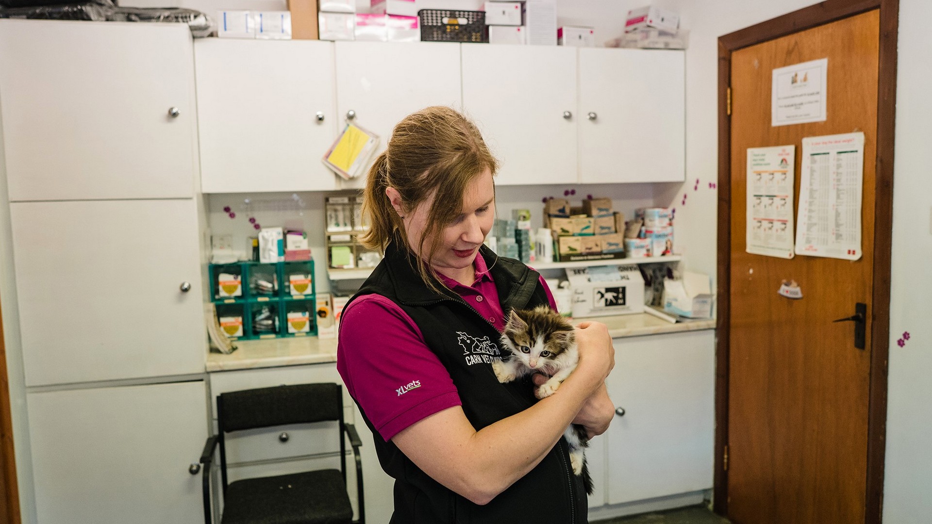 Kitten care