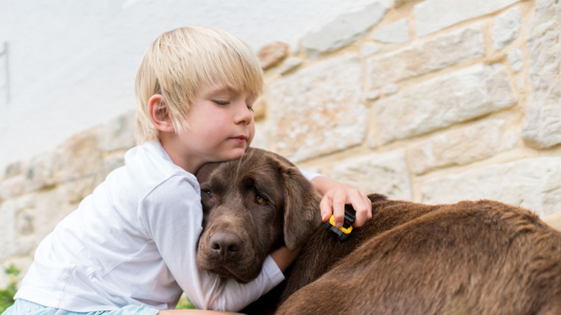 Saying Goodbye to Your Pet