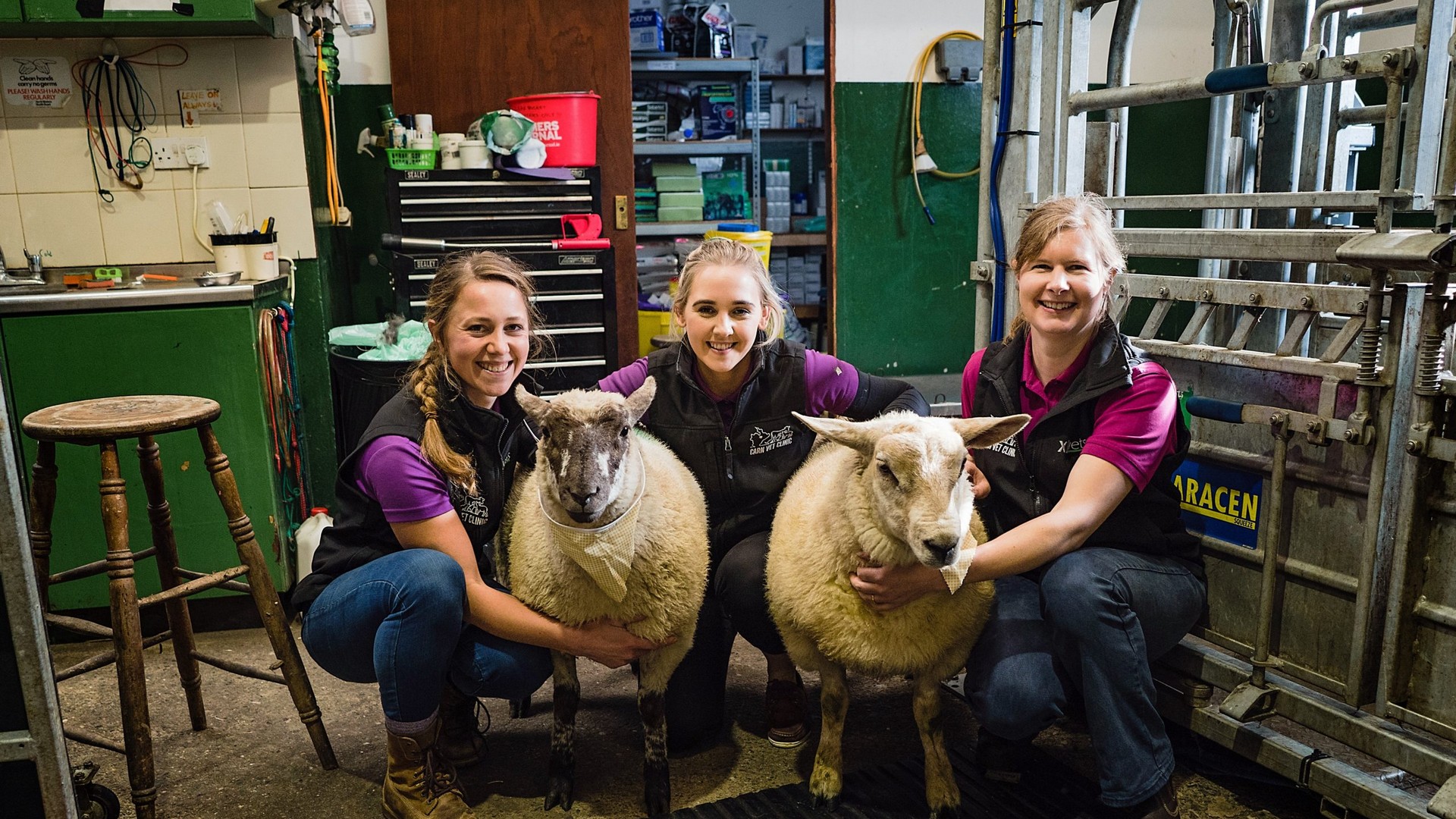 Sheep Healthcare